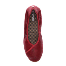 Nairobi Ballet Flat Cherry Lizard